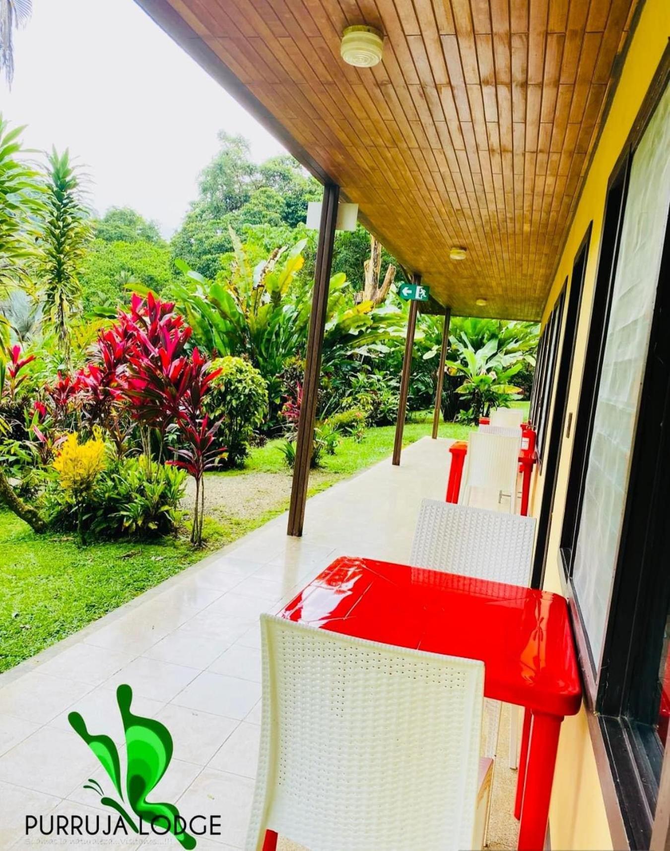 La Purruja Hotel Golfito