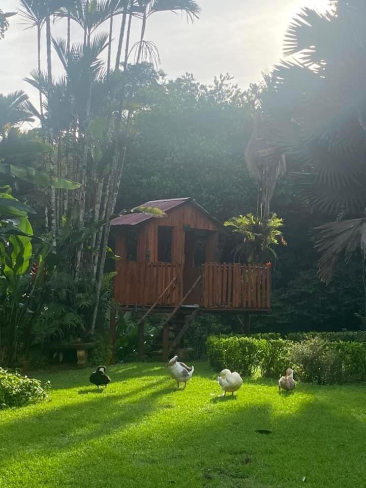 Hotel La Purruja